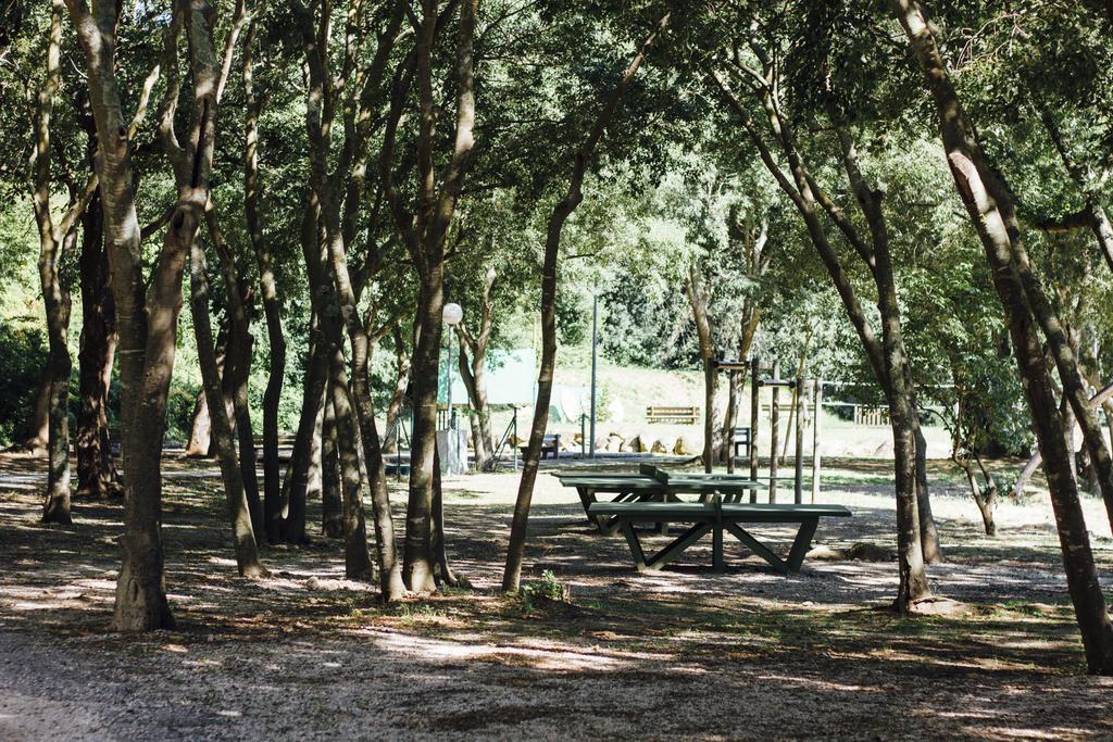 Camping Le Bois Fleuri Argelès-sur-Mer Εξωτερικό φωτογραφία