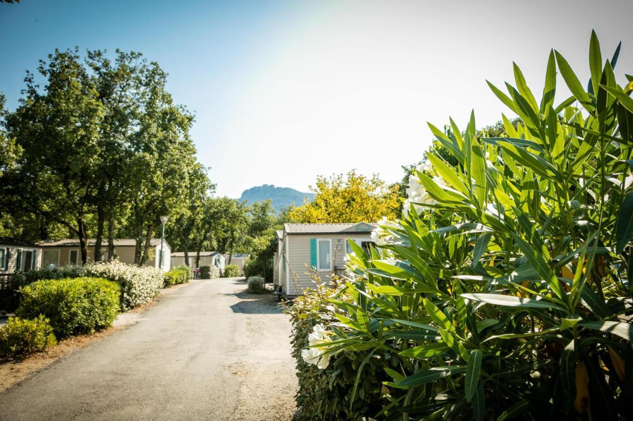 Camping Le Bois Fleuri Argelès-sur-Mer Εξωτερικό φωτογραφία